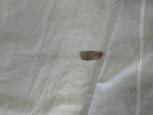 S25204 Grand-Voile M1