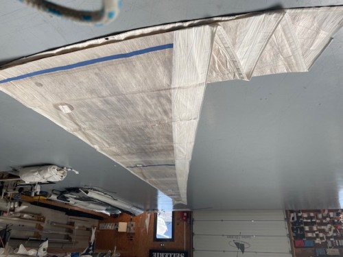 S25239 Génois sur enrouleur M1