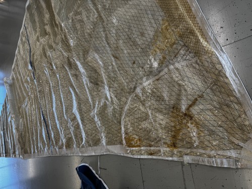 S2620 Génois sur enrouleur M1