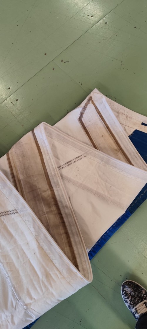 S2626 Génois sur enrouleur M1