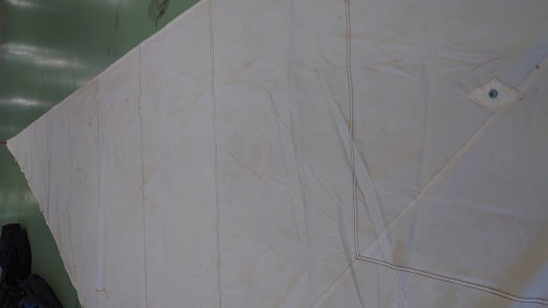 S2695 Génois médium M1