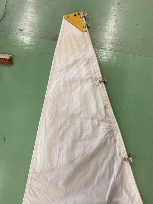S26118 GV M1