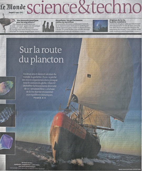 Retour de Tara à Lorient sous spi All Purpose Le Monde week-end